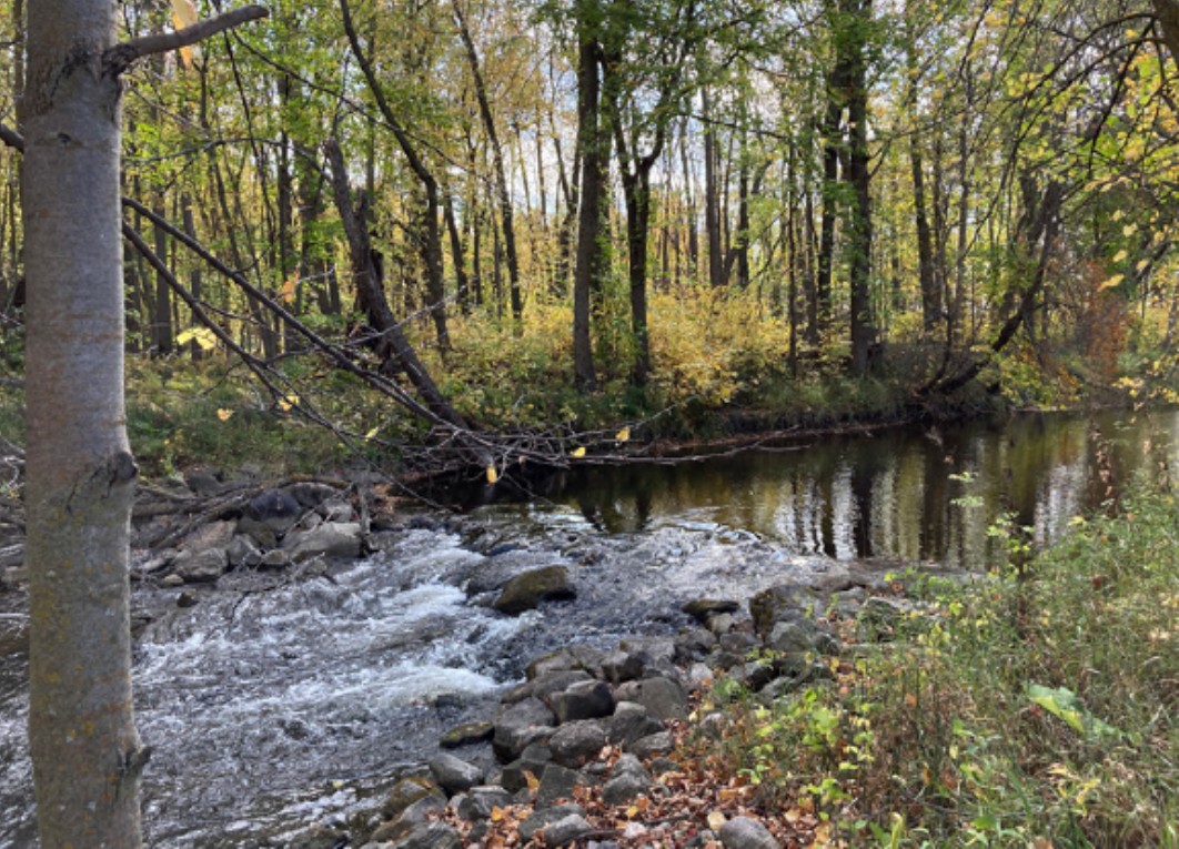 Rock riffles at the site of stream restoration in Clearwater County, Minnesota.